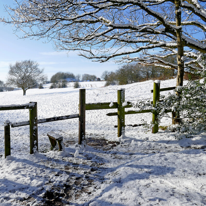 Snow covered pasture on Colton Hills... © Roger Kidd cc-by-sa/2.0 ...