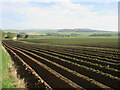 Furrowed field near Lochty