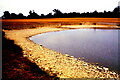 ST8083 : Drought, Badminton Lake, Gloucestershire 1995 by Ray Bird