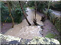 Stream in Ford, Shropshire