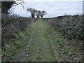 Green lane rising upslope in front of me