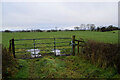 Wet entrance to field, Moylagh