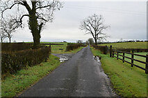 H5064 : Wet along Drumconnelly Road by Kenneth  Allen