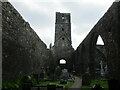 W5168 : Kilcrea Friary, nave and tower by Jonathan Thacker