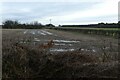 Flooded farmland