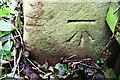 Benchmark on stone gatepost on SE of road south of Coomb Eden