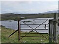 Gate above Loch nan Caor, Isle of Lewis