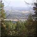 View of Alness from Cnoc Fyrish