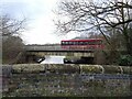 Bridge View