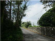 W3865 : Lane by St. Andrew's church, Kilmurry by Jonathan Thacker