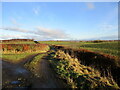 Junction of farm roads between Darngaber and Knowetop