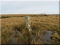 SX2471 : Old Boundary Marker on Craddock Moor by P G Moore