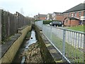 Beck east of Jerry Clay Lane, looking upstream