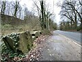 Large boulders