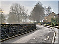 A Wintery Riverside at Brooksbottom