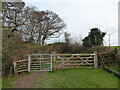 Gates into woodland