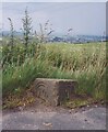 Old Milestone, A644, north of Raggalds Inn