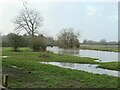 Receding flood, Trent valley, King