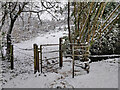 Gate along the Habberley Valley Circular Walk