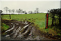 Muddy entrance to field, Usnagh