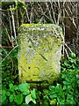 Old Boundary Marker on Gardeners Lane