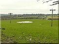 Temporary pond near Spring End Farm