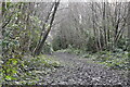 Very muddy track, Hemsted Forest