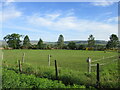 Grassland near Hoodston