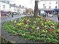 Winter/Spring bedding in Wellington Square