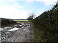 TG2728 : West on muddy Farm Track and Footpath by David Pashley