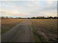 Roadway to Hall Farm, Langford