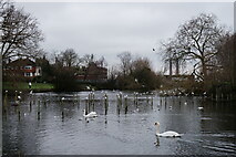 TQ3065 : Waddon Ponds by Peter Trimming