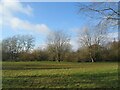 The Shrubberies, green space