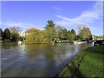 SU4996 : The River Thames in Abingdon by Steve Daniels