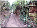 Part of an old Roman road out of Lee Brockhurst