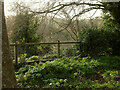 SX8963 : Woodland below Loxbury Road by Derek Harper