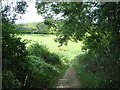 SP2712 : Bridleway down to Handley Plain by D'Arcy Vallance