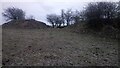NS9864 : Site of Old Quarry on West Calder - Blackburn Road by Ian Dodds