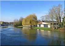 TL4659 : Riverside: boathouses and rising water by John Sutton