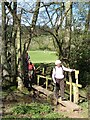 Bridge over a tiny stream