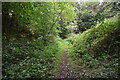 Disused Hythe branch line