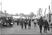 ST8083 : Badminton Horse Trials, Gloucestershire 2017 by Ray Bird