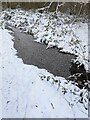TF0820 : A frozen puddle by Bob Harvey
