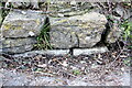 Bench Mark on Wall in Westbay Rd