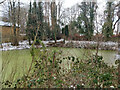 Pond by Balcombe Road, Pound Hill, Crawley