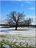 SE2871 : Winter Landscape near Sunley Raynes by Gordon Hatton