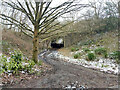 Subway under M23 to Crabbet Park