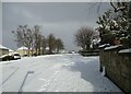 Snow on Adele Street, Motherwell