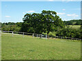 Footpath 40 from Little Bushey Lane towards  Hilfield Lane