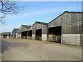 Cattle shed at Grange Farm